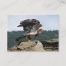 Search for wild chubby business cards Bird