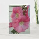 Search for beautiful lady cards Pink