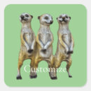Search for mongooses stickers Meerkat