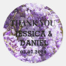 Search for wisteria stickers Violet