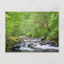 Search for columbia river gorge postcards Forest