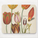 Search for spring bulbs electronics Botanical