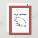 Search for farm pig postcards Animal