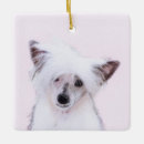 Search for chinese crested dog christmas tree decorations Puppy