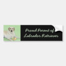Search for yellow lab bumper stickers Retriever