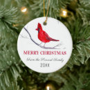 Search for red bird christmas tree decorations Nature