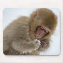 Search for cold winter mousepads Wildlife