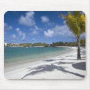 Search for resort mousepads Palm tree