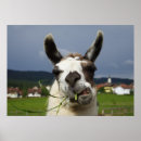 Search for crazy art Humourous