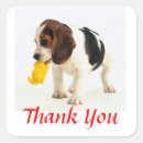 Search for beagle puppy stickers Thank you