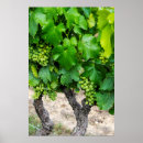 Search for wine posters Green