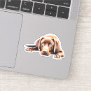 Search for chocolate lover electronics Pet