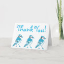 Search for blue jay cards Birds
