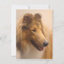 Search for sable cards Rough collie