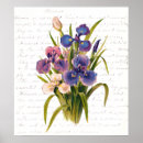 Search for vintage lilacs posters Garden