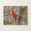 Search for red cardinal bird puzzles Nature