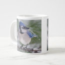 Search for blue jay birds mugs Nature