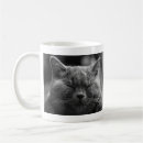 Search for cat nap mugs Cats