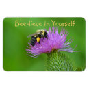 Search for cute bees magnets Nature