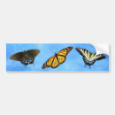 Search for white tiger bumper stickers Black