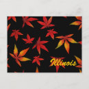 Search for illinois postcards Autumn