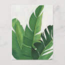 Search for leaves postcards Leaf