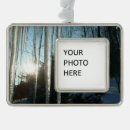 Search for icicle christmas tree decorations Nature