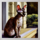 Search for cornish rex cat Pet