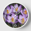 Search for crocuses art Photography