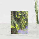 Search for tree life cards Winter