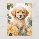 Search for golden retriever puppies postcards Yellow