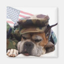 Search for boxer dog magnets Pet