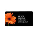 Search for gerberas labels For her