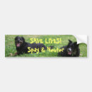 Search for spayed bumper stickers Dogs