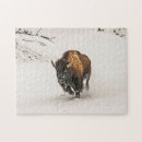 Search for bison puzzles Snow