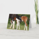 Search for hiding cards Animal