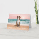 Search for pitbull birthday cards Puppies