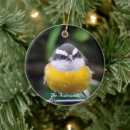 Search for birds christmas tree decorations Pet
