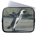 Search for beach walk electronics Walking