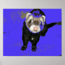 Search for ferret posters Whimsical