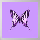 Search for purple butterfly posters Butterflies