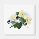 Search for chickadees magnets Nature