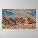 Search for mustang posters Ranch
