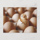 Search for new babies postcards Cute
