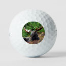 Search for moose golf equipment Wildlife
