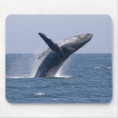 Search for breaching electronics Ocean