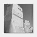Search for w magnets Arabian
