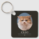 Search for cat daddy key rings Kitten