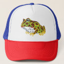 Search for frog amphibian hats Cartoon