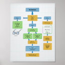 Search for flow chart School
